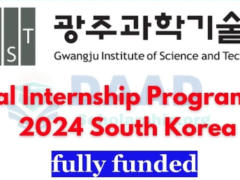 Global Intern Program (GIP) 2024 South Korea