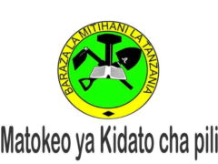 Matokeo Kidato Cha Pili 2023